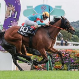 【大谷の土曜競馬コラム・ターコイズＳ】