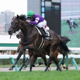 【橘の土曜競馬コラム・ターコイズＳ】