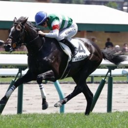 【東京本紙・外山の土曜中山９Ｒ】