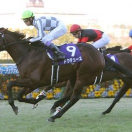 【朝日杯フューチュリティＳ】無敗馬対決の行方は！？