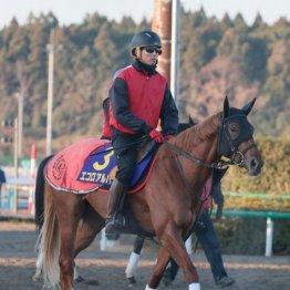 【朝日杯フューチュリティＳ】出走全馬の特選情報