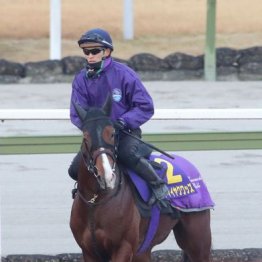 【朝日杯フューチュリティＳ】出走全馬の特選情報