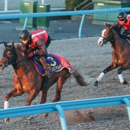【新居の日曜競馬コラム・朝日杯フューチュリティＳ】