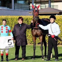 【木津の日曜競馬コラム・日曜中山９Ｒ】