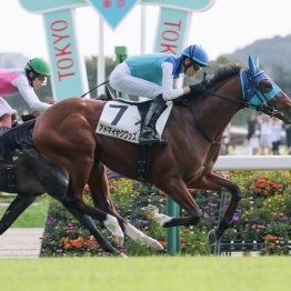【武田の日曜競馬コラム・朝日杯フューチュリティＳ】