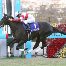 【注目重賞／データで買う・朝日杯フューチュリティＳ】