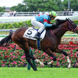 【レスキュー隊の日曜競馬コラム・中山12Ｒ】