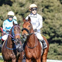 【東京本紙・外山の日曜中山９Ｒ】