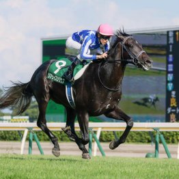 【朝日杯フューチュリティＳ】◎リアライズシリウス　前走で負かしたのはＧⅠ③着馬