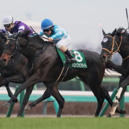 朝日杯ＦＳはサートゥルナーリア産駒がGⅠ初制覇　母の父ハーツクライは２年連続でＶ