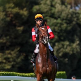 朝日杯ＦＳはサートゥルナーリア産駒がGⅠ初制覇　母の父ハーツクライは２年連続でＶ