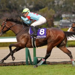 朝日杯ＦＳはサートゥルナーリア産駒がGⅠ初制覇　母の父ハーツクライは２年連続でＶ