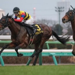 【ディセンバーＳ】３歳馬ドラゴンブースト逃げ切り