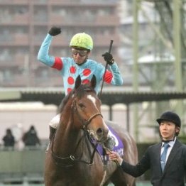 【朝日杯フューチュリティＳ】レース後の談話（ネットオリジナルを含む）