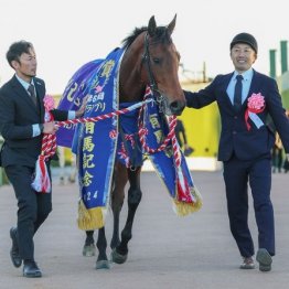 【有馬記念】ＧⅠ馬６頭が激突
