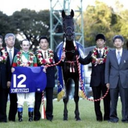 【有馬記念】史上５頭目、牝馬としては初の偉業に挑む