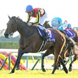 【有馬記念】ファン投票１位のレガレイラが歩む歴史的名牝への道