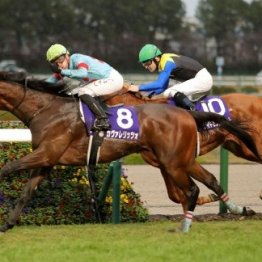 まだ完全に決着していない朝日杯ＦＳ上位馬