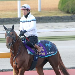 【有馬記念】ダノンデサイルＧⅠ３勝目へ