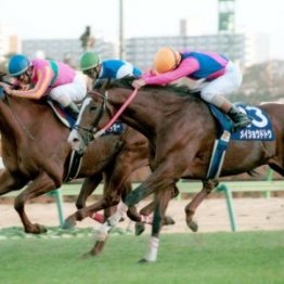 【有馬記念】まさにリアル「ザ・ロイヤルファミリー」