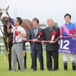 【有馬記念】まさにリアル「ザ・ロイヤルファミリー」