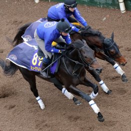 【有馬記念】調教マル得チェック②