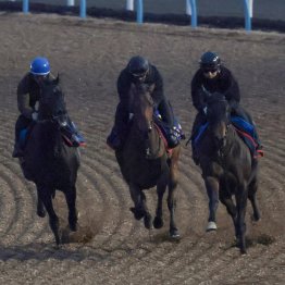 【有馬記念】レガレイラ昨年とは段違いのボリューム感