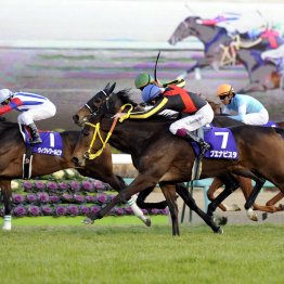 【有馬記念】皐月賞が有馬記念に直結する！　今年の３歳馬もチャンス大