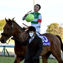 【有馬記念】皐月賞が有馬記念に直結する！　今年の３歳馬もチャンス大