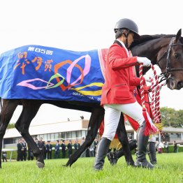 【有馬記念】ミュージアムマイル中山でまた美酒を