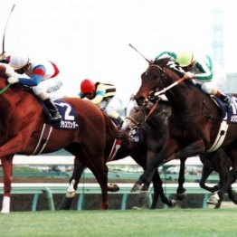 〈118〉小さい頃から競馬場へ　グリーンチャンネルでもおなじみ大澤幹朗さん（４）