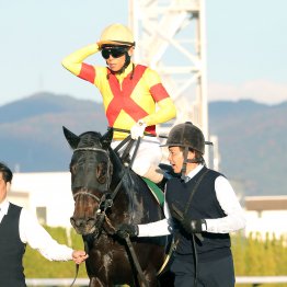 【ホープフルＳ】ジャスティンビスタ無傷の３連勝