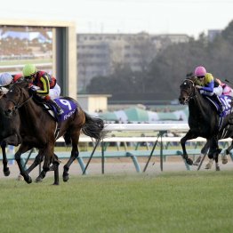 【有馬記念】１番人気濃厚　牝馬レガレイラが①②着ならヒモのパターンはこう