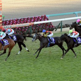 【有馬記念】データ作戦　上位人気２頭＆伏兵１頭が狙い目