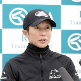 【有馬記念】メイショウタバル武豊が宝塚記念に続いて魅せるか