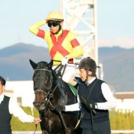 【播磨の土曜競馬コラム・ホープフルＳ】