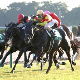 【勝羽の土曜競馬コラム・ホープフルＳ】