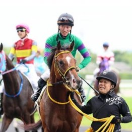 【飯島の土曜競馬コラム・阪神８Ｒ】