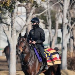 【新居の土曜競馬コラム・ホープフルＳ】
