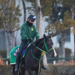 【木津の土曜競馬コラム・ホープフルＳ】