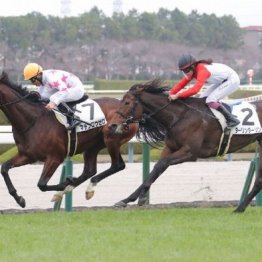 【橘の土曜競馬コラム・ホープフルＳ】