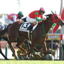 【大阪本紙・弘中の土曜阪神９Ｒ】