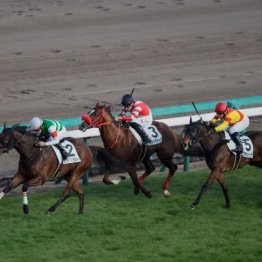 【東京本紙・外山の土曜中山９Ｒ】