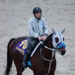 【有馬記念】出走全馬の特選情報
