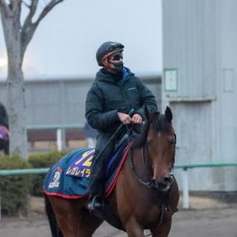 【有馬記念】出走全馬の特選情報
