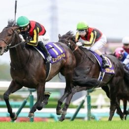 【大谷の日曜競馬コラム・有馬記念】