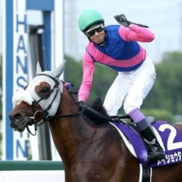 【武田の日曜競馬コラム・有馬記念】