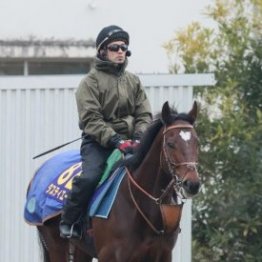 【橘の日曜競馬コラム・有馬記念】