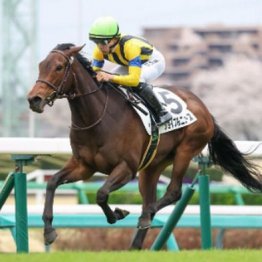 【レスキュー隊の日曜競馬コラム・中山12Ｒ】