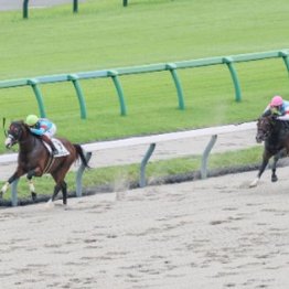 【東京本紙・外山の日曜中山８Ｒ】